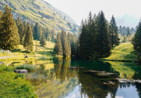 Reveil dans la vallée d'abondance en Haute Savoie