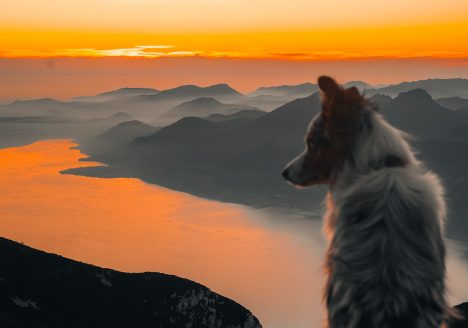 RANDO MONTE BALDO - LAC DE GARDE