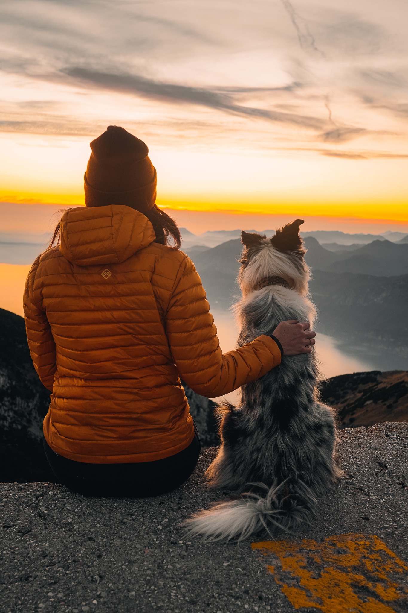 Randonnée avec son chien