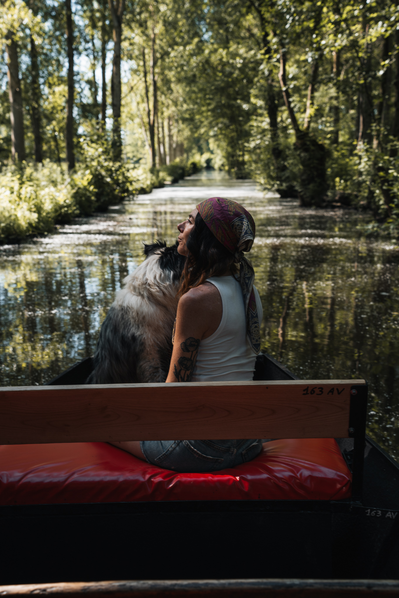 Voyager en France avec son chien