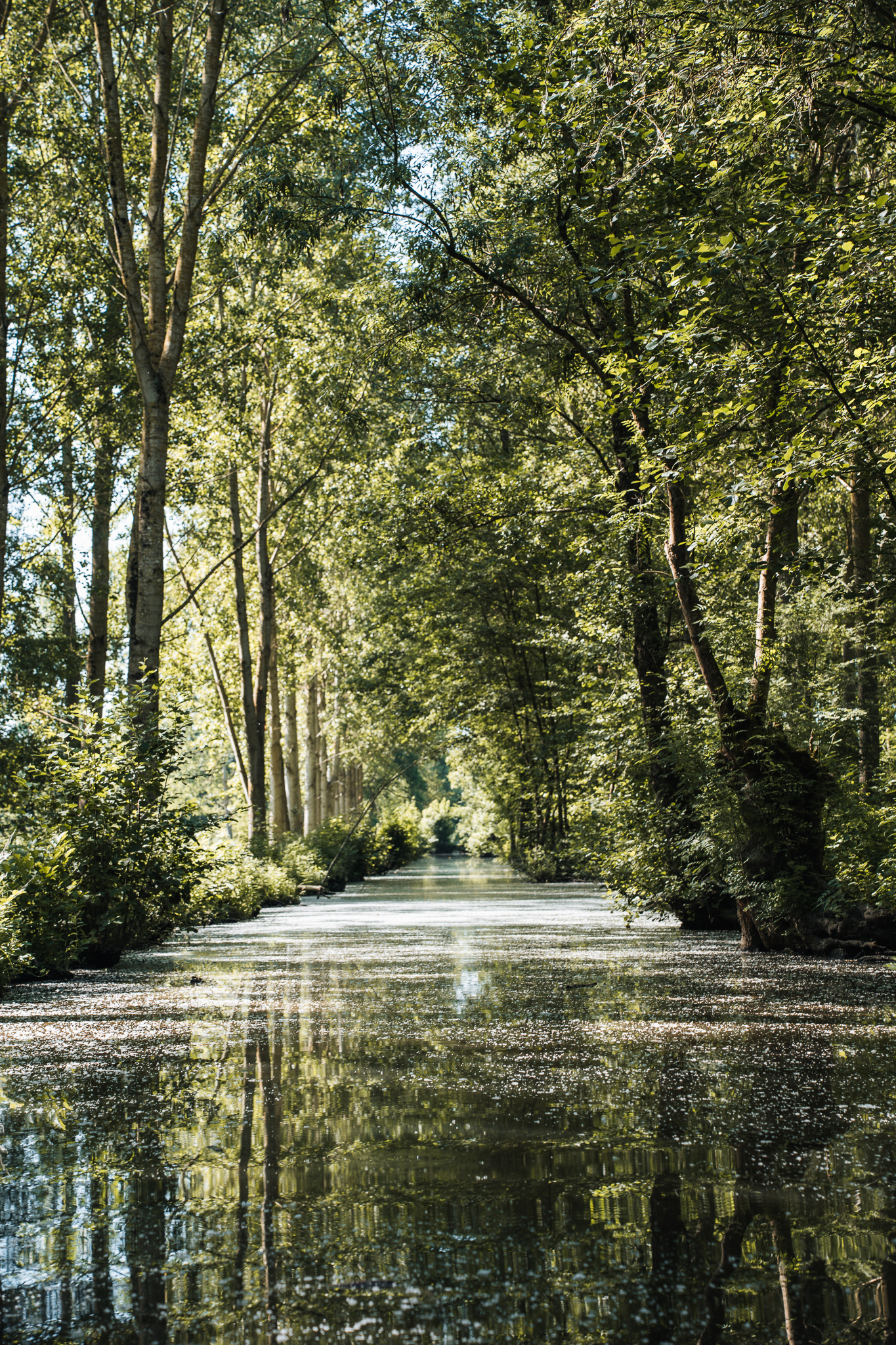 Visiter les Marais Poitevin