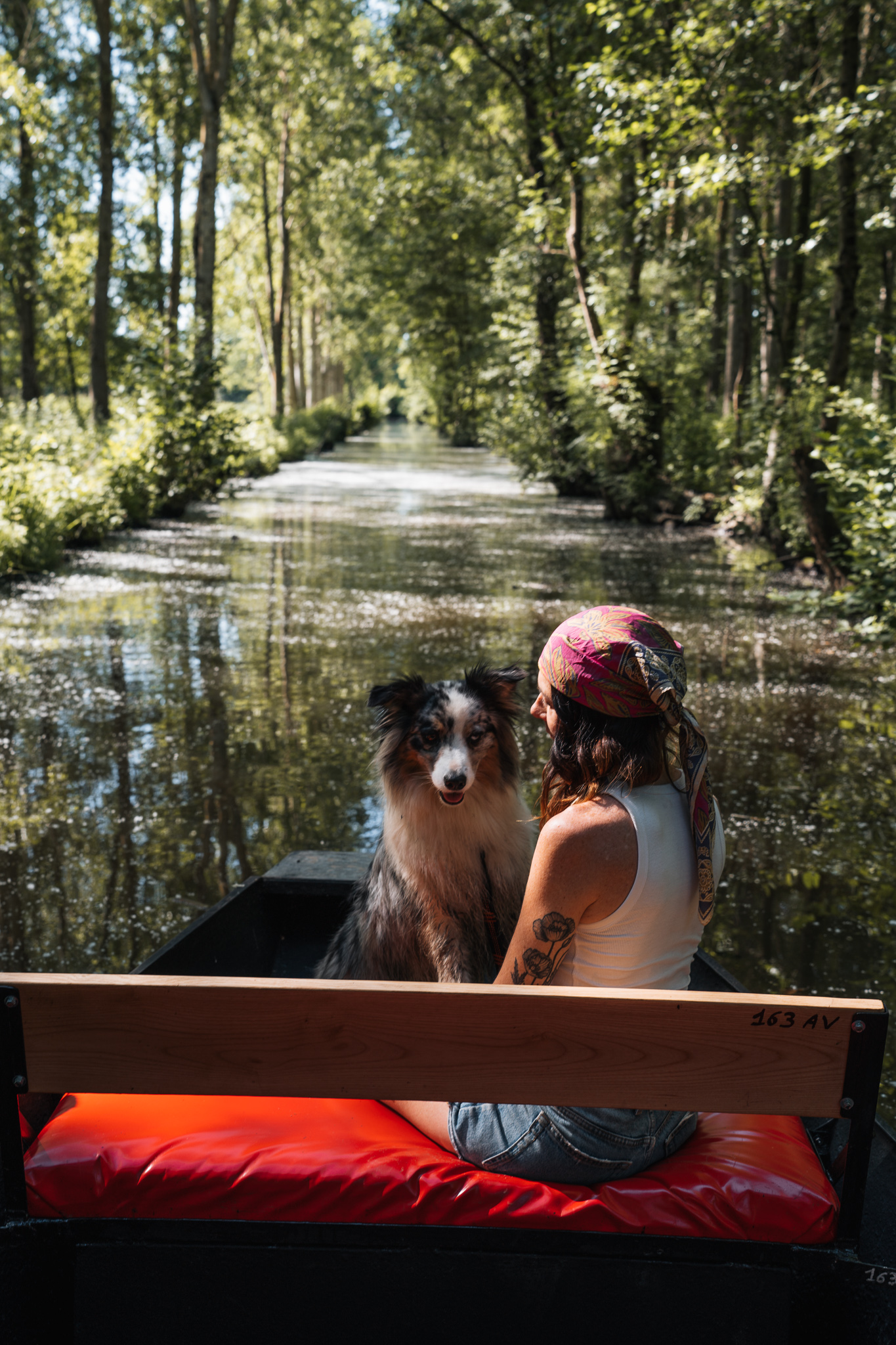 Activité Dog Friendly en Vendée