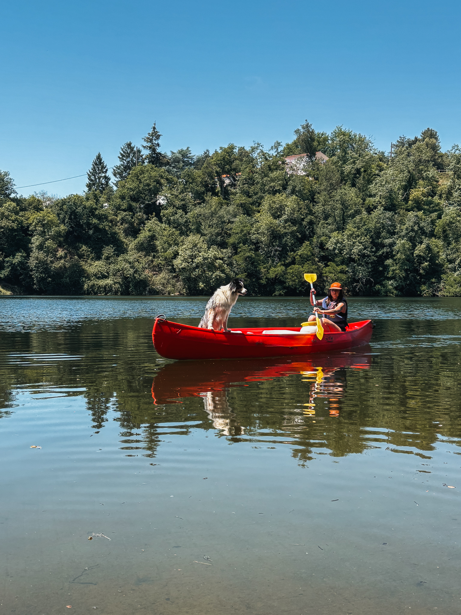 Que Faire en Vendée avec son chien ?
