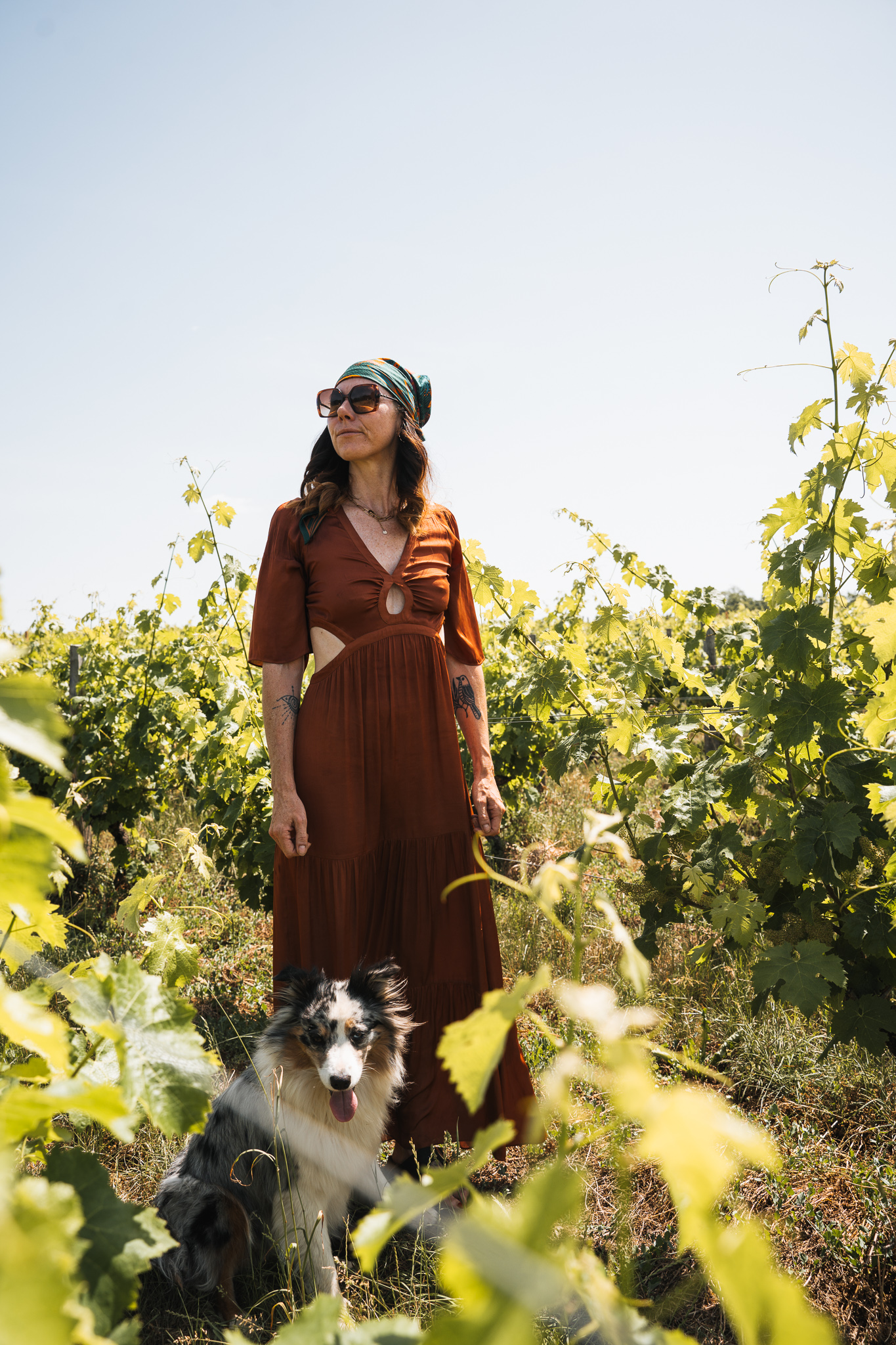Visite des vignobles Mourat Vendée