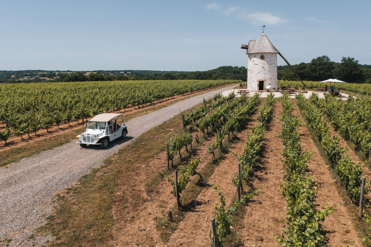Balade dans les Vignes en Vendée