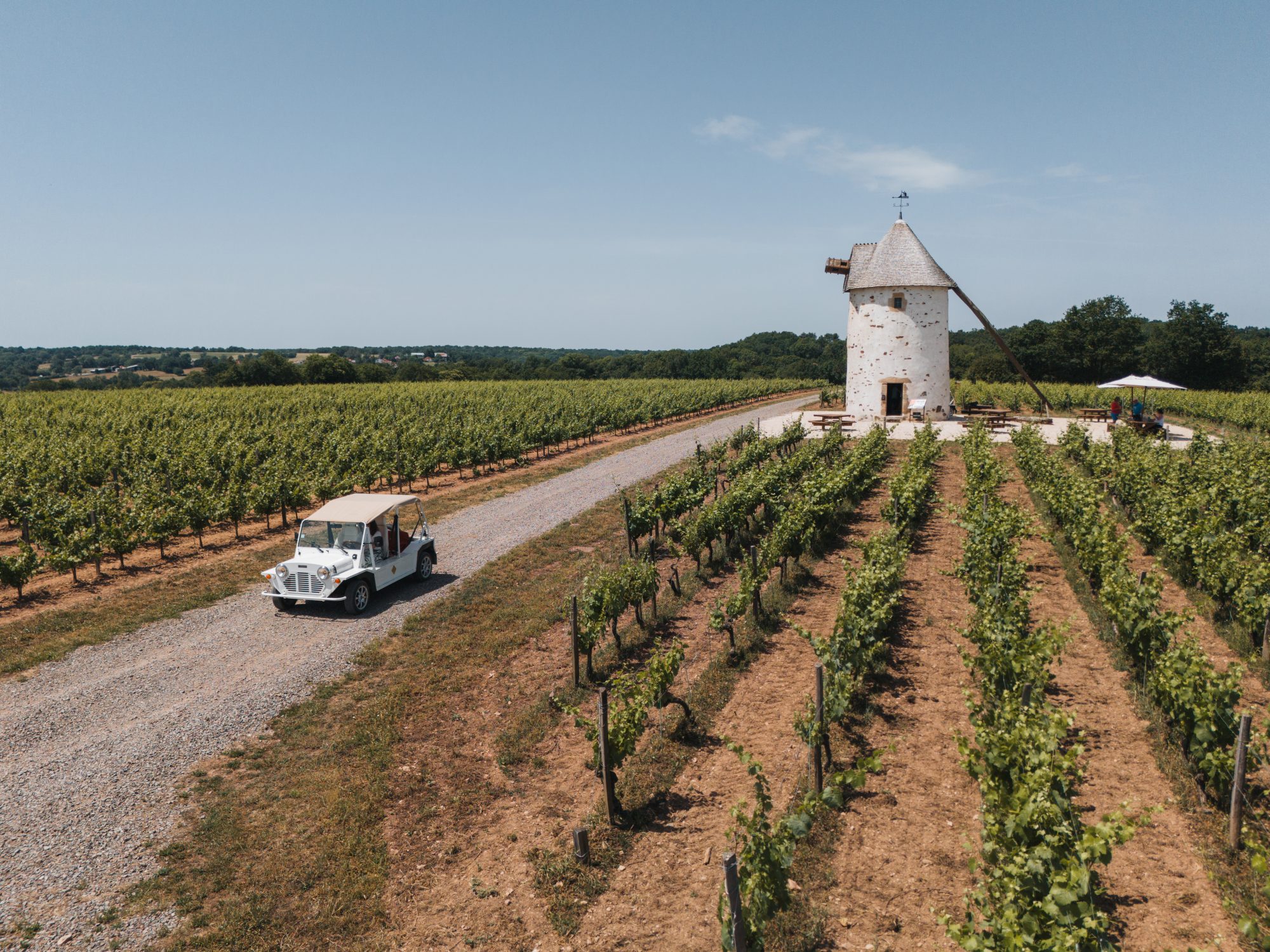 Balade dans les Vignes en Vendée