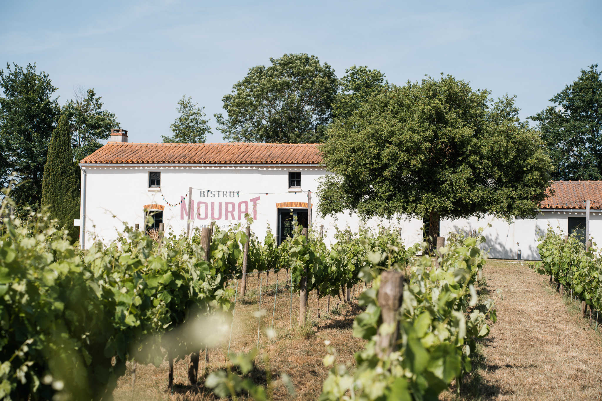 Vignobles Mourat