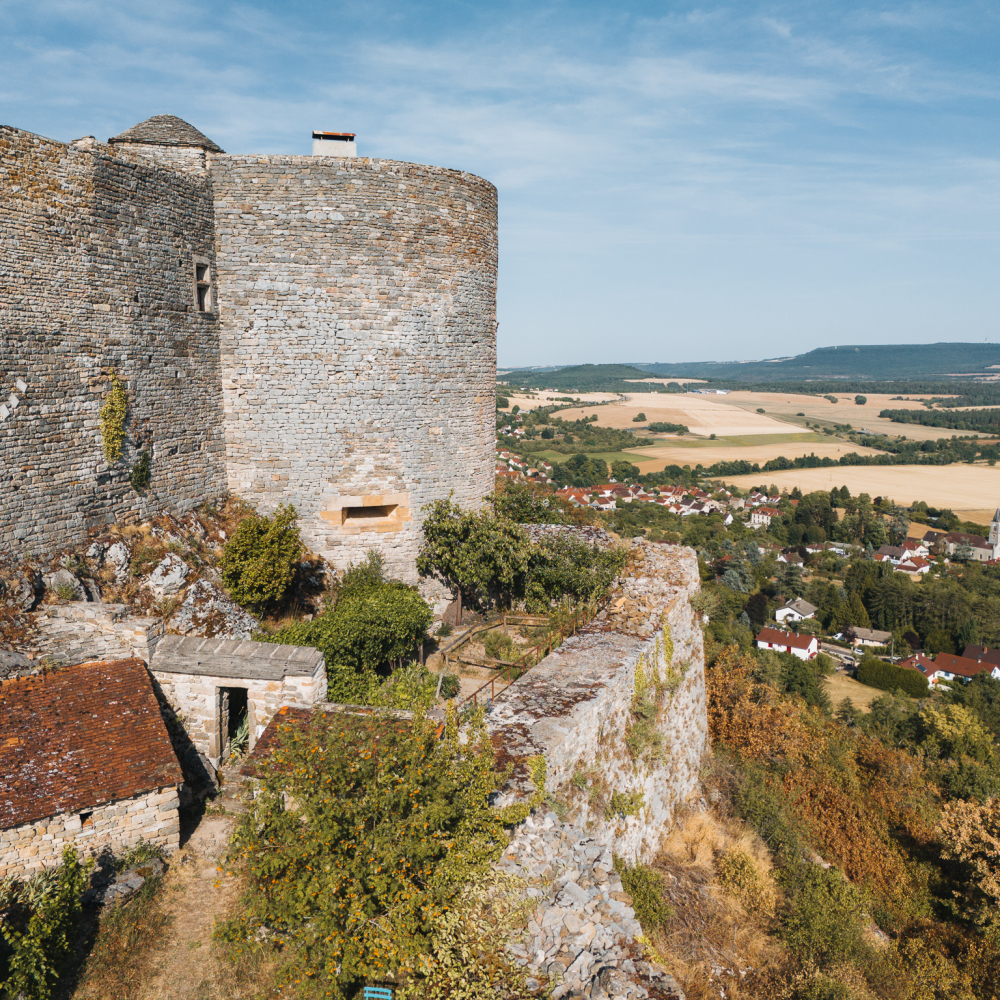 Activités Dog Friendly en Bourgogne