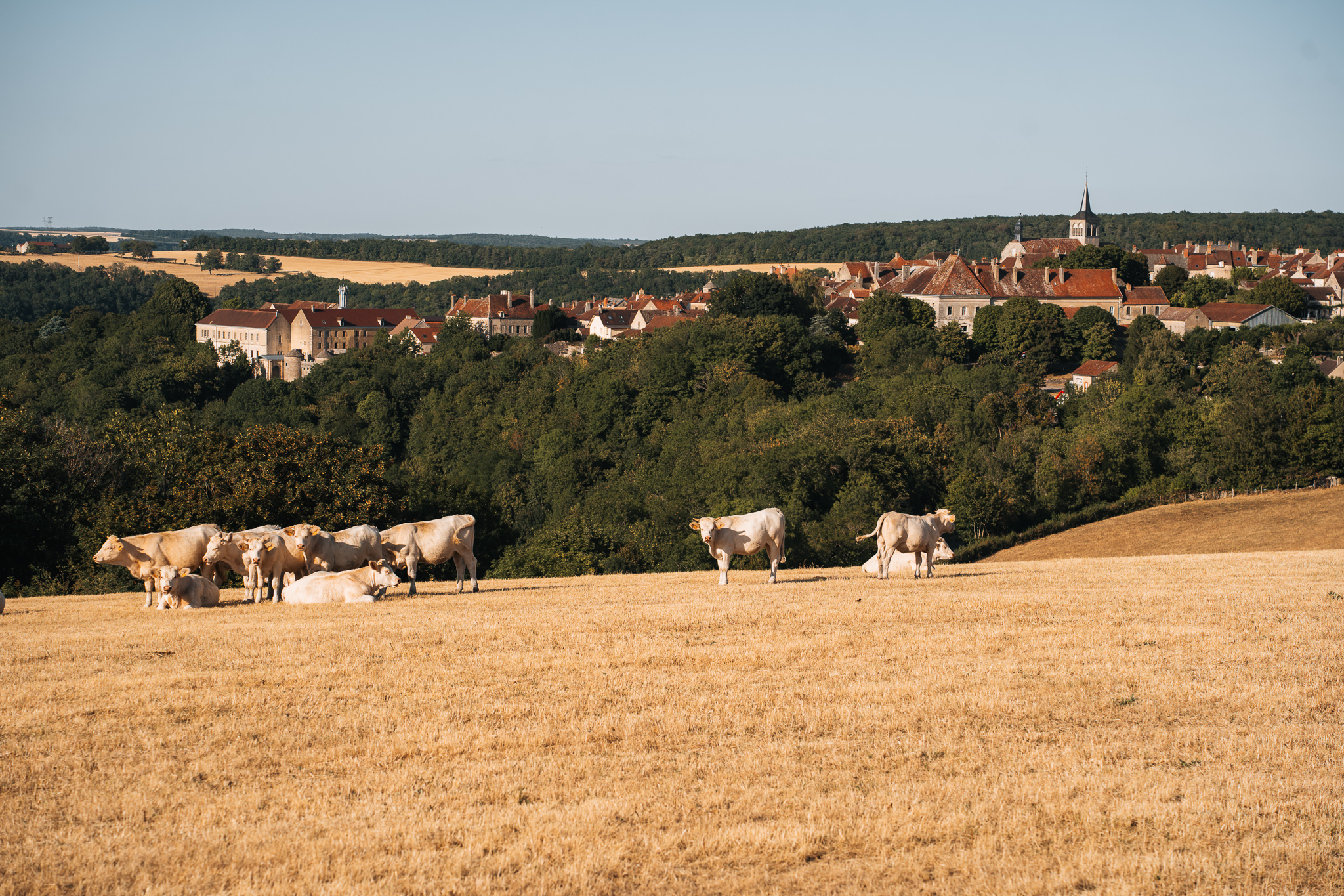 Visiter Flavigny-sur-Ozerain en Côte d'Or
