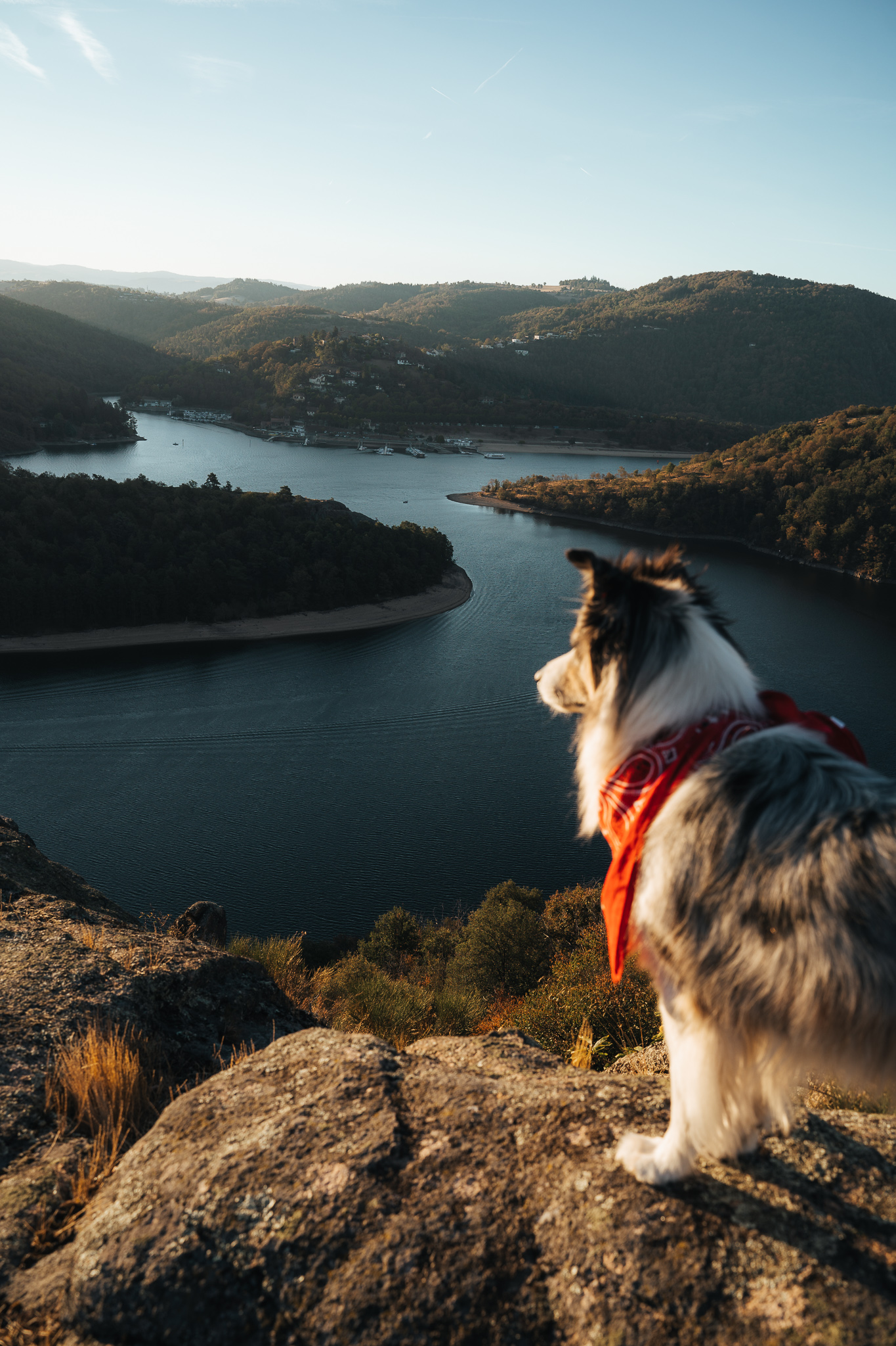 La Loire destination dog Friendly Visiter la Loire avec son chien